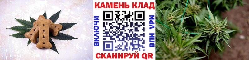 купить наркоту  MEGA вход  Еда ТГК конопля  Тамбов 
