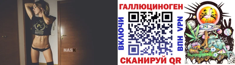 где купить наркотик  Тамбов  Псилоцибиновые грибы Psilocybe 
